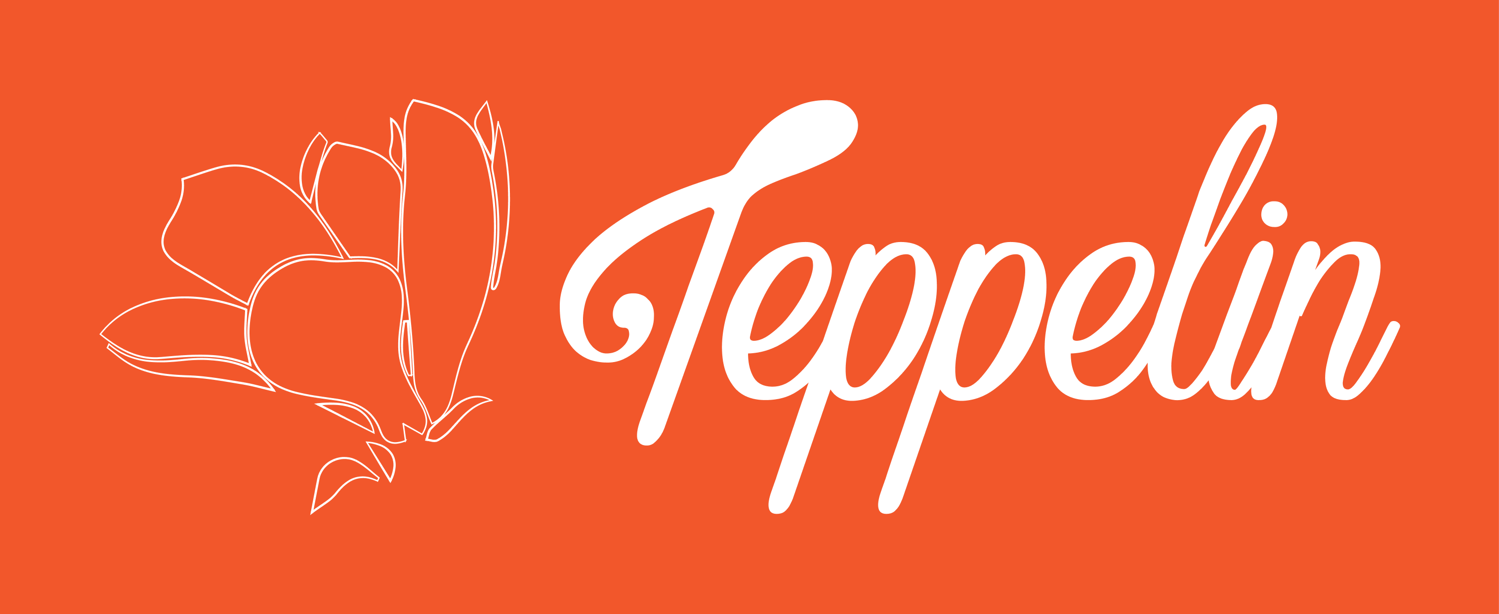 Teppelin Labs